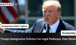 Trump Immigration Policies Cut Legal Pathways, Data Shows